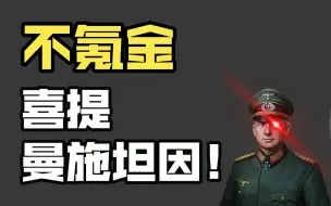 震惊！猫耳酱不氪金喜提曼施坦因，没想到竟然发生了这种事！？