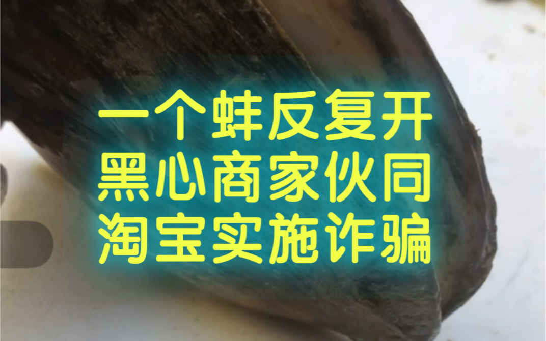 被淘宝诈骗几十万,维权艰难,同一个死蚌反复开,淘宝罔顾事实,蓄意偏袒涉事商家,伙同售假商家一起赚取高额非法利润!哔哩哔哩bilibili