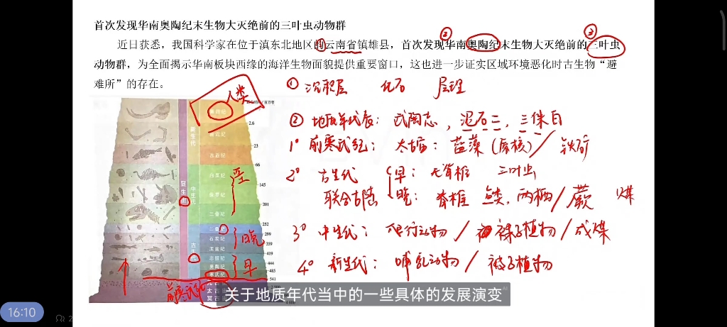 公考公共基础知识学习12|地质专题古生代中生代新生代植物动物特点和盛产资源哔哩哔哩bilibili