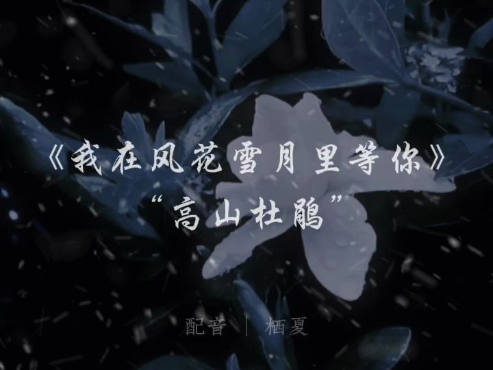 画渣花小烙配音图片