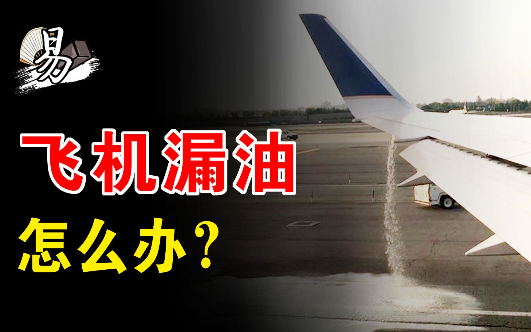 飞机空中漏油失去动力,却因此打破世界纪录,滑翔回机场全员生还