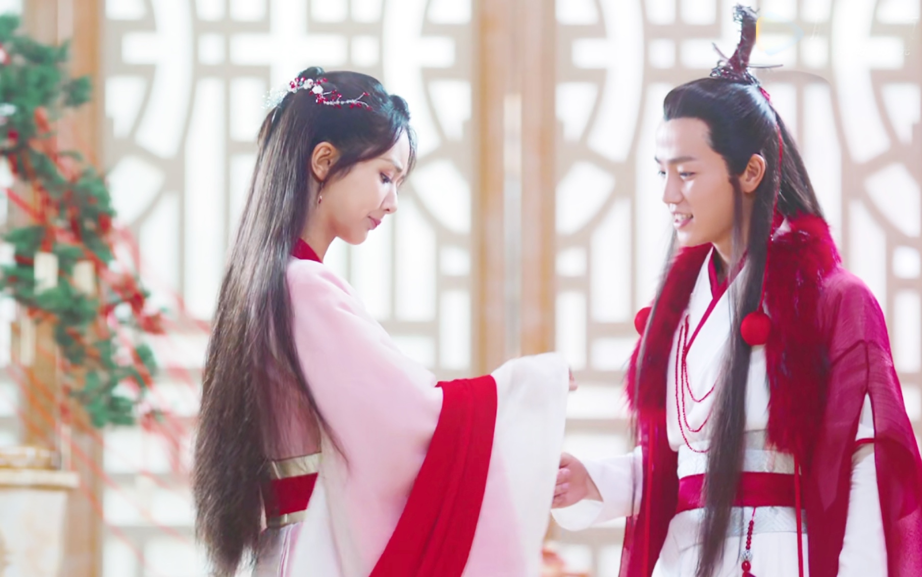 【杨紫/锦觅】月下仙人赠云裳 仙女换衣 转身太美 完了这是心动的感觉