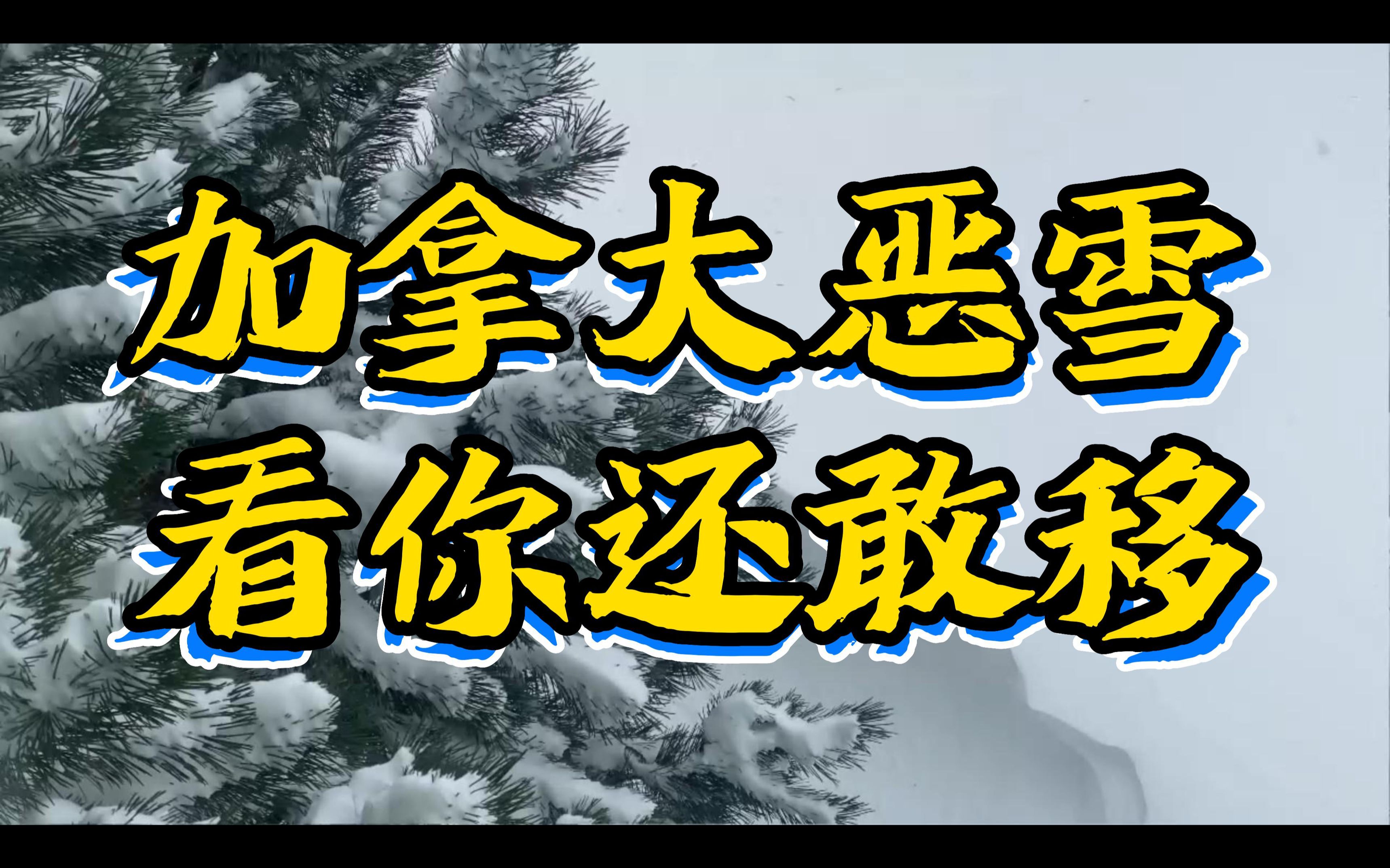 [图]加拿大恶雪！看你还敢移！