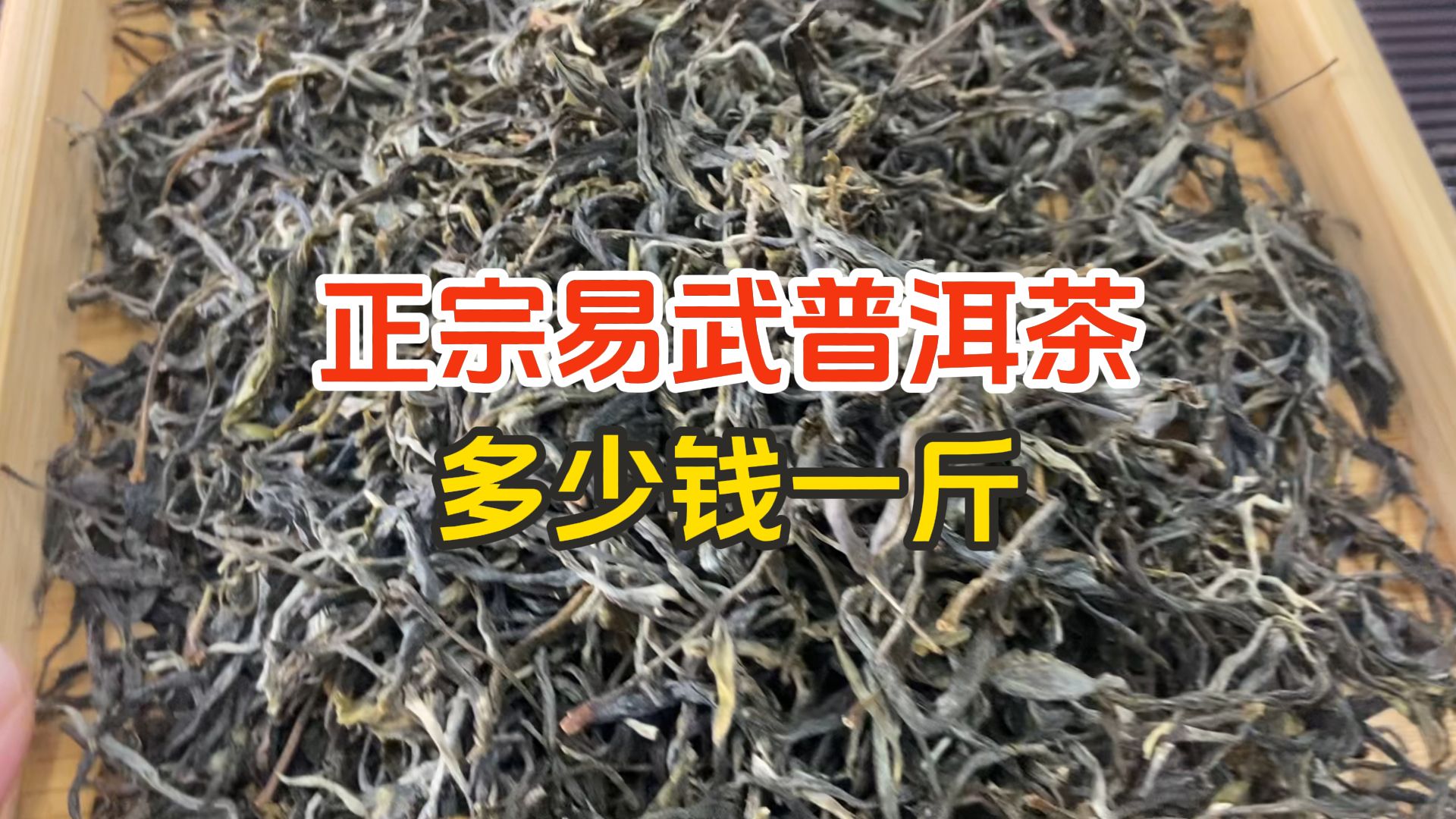 正宗易武普洱茶多少钱一斤?茶老板首次公开底价,喝茶的建议看看!