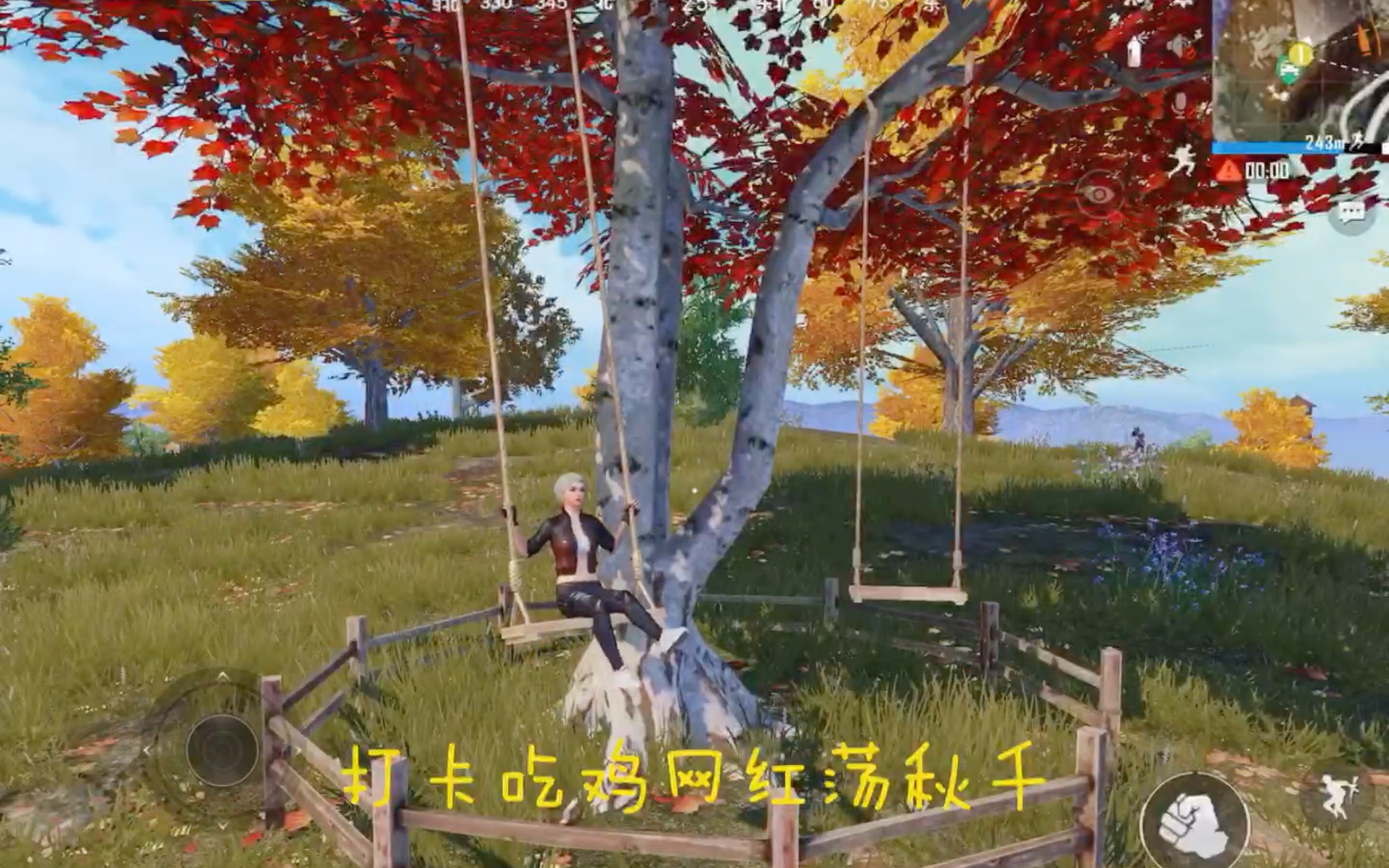 吃打卡鸡网红荡秋千