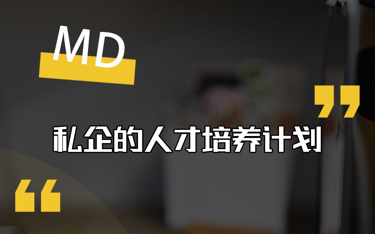 私企小剧场 第三集 私企的人才“培养计划”哔哩哔哩bilibili