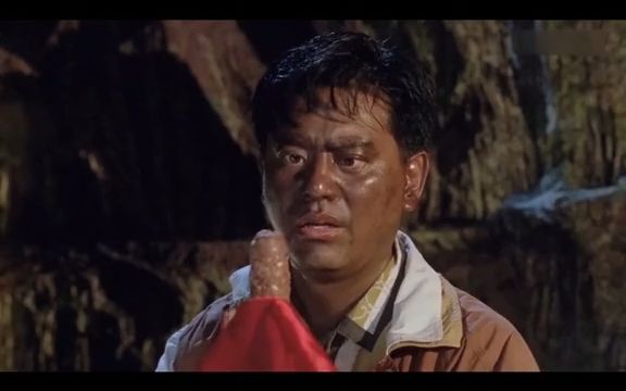 这个大还丹每次我都觉得在吃屎.