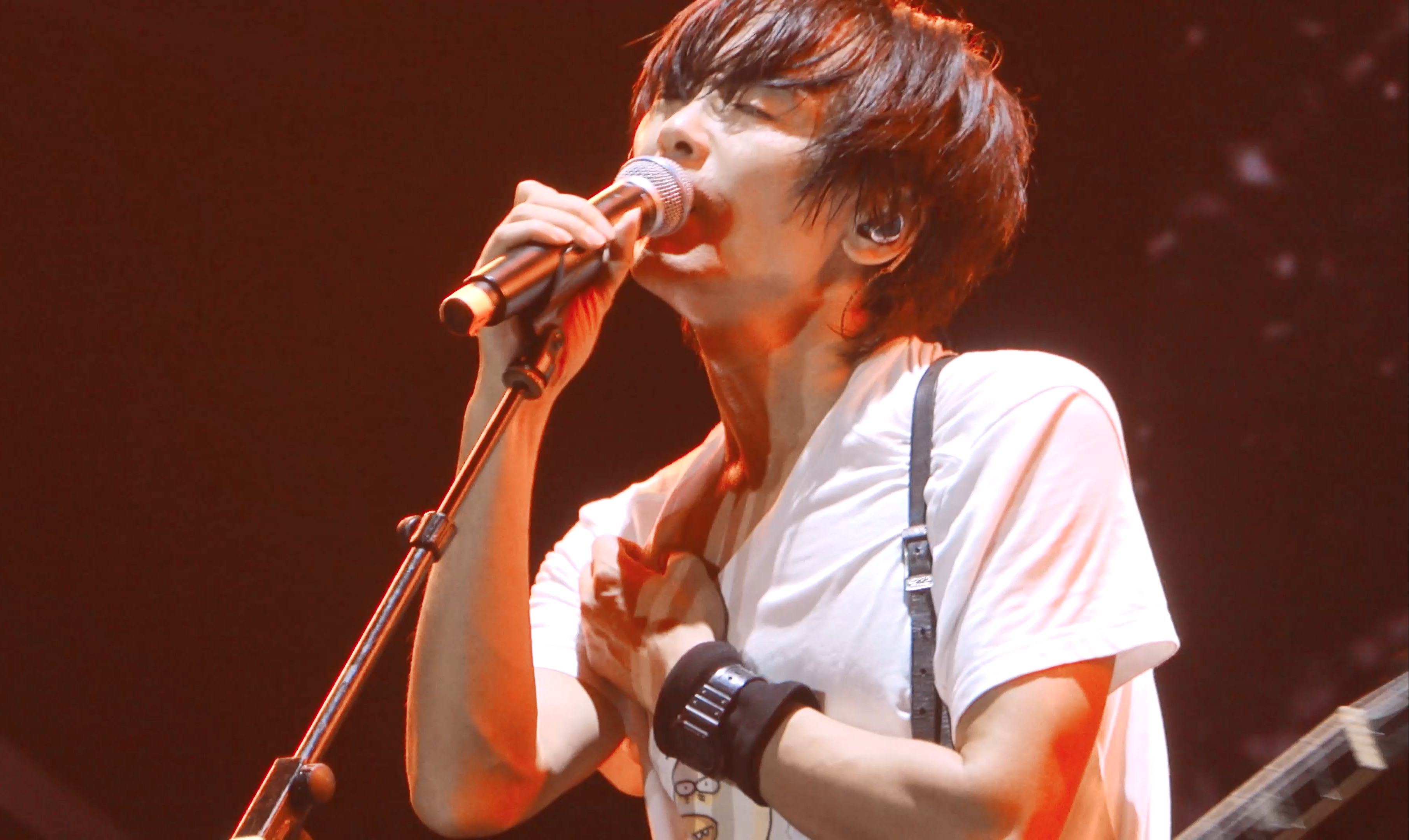 【全场4k】20240825养马岛音乐节 彭磊主fo(磊梦机位)