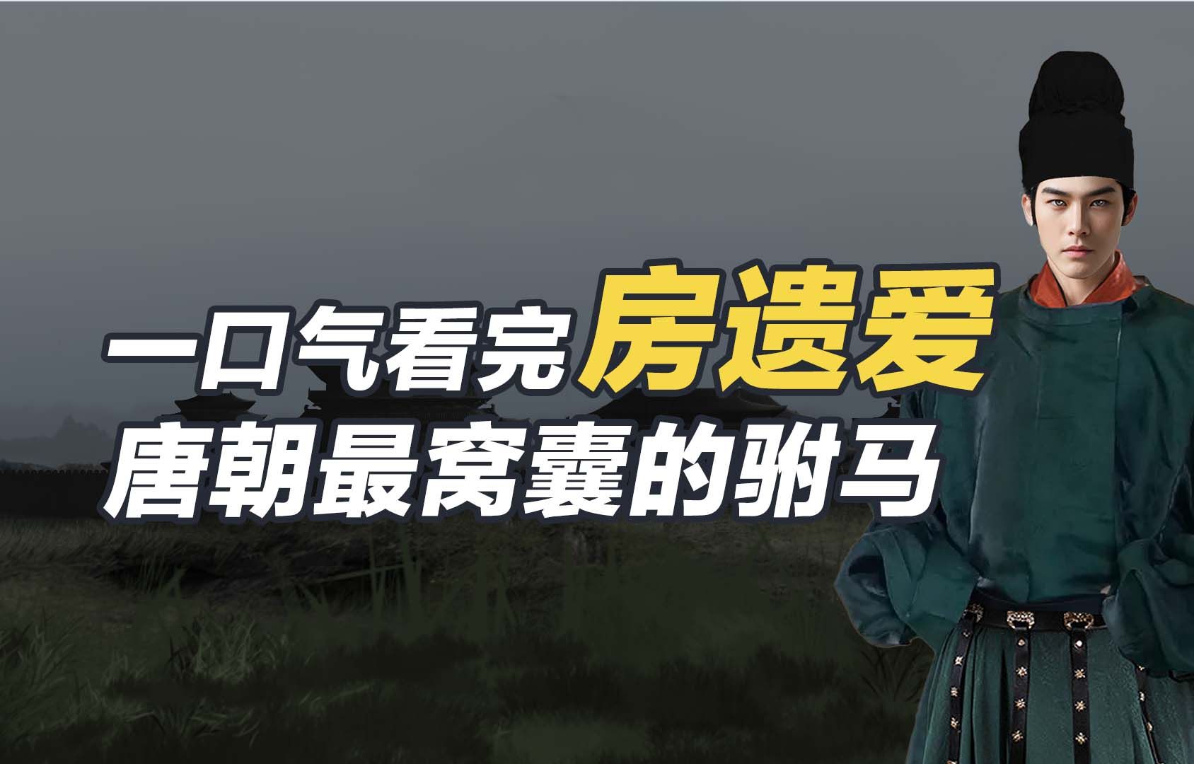 一口气看完房遗爱,唐朝最窝囊的驸马!哔哩哔哩bilibili