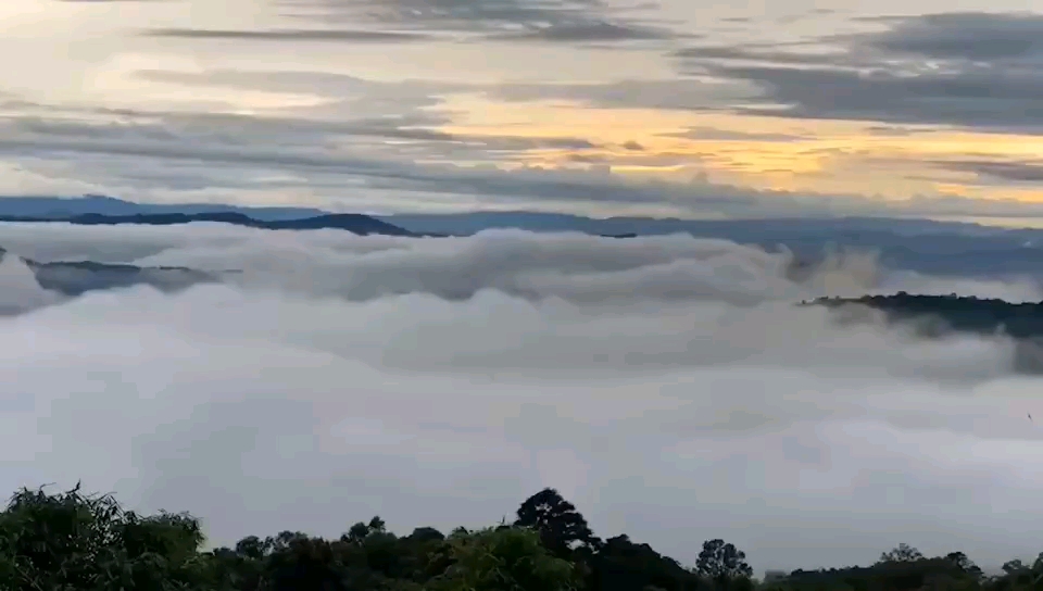 [图]西双版纳茶山的云海