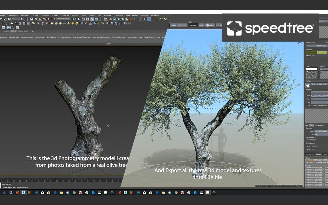 SpeedTree.8.4.0 3D扫描树模型+完整建模教程哔哩哔哩bilibili