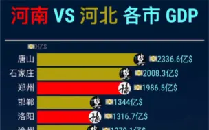 Descargar video: 河南 vs 河北各市gdp top 20