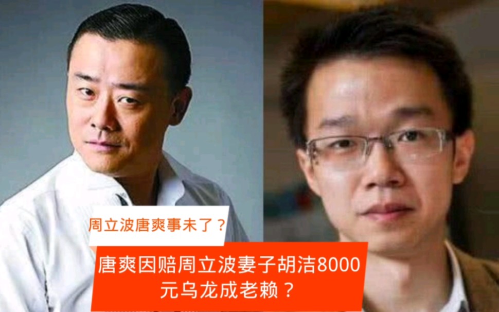 唐爽因赔周立波妻子胡洁8000元执行乌龙成老赖?哔哩哔哩bilibili