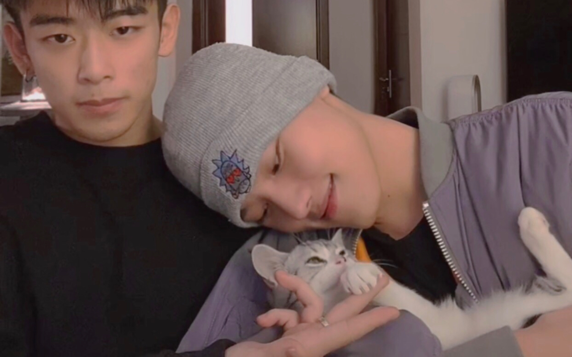 【鹤楷】一家四口rua猫rua刘泽楷_哔哩哔哩_bilibili