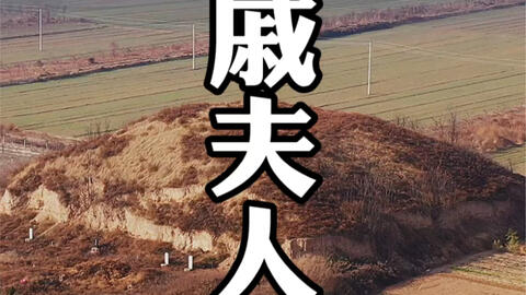 ○江戸一枚刷○倭朝悪口異国くわあどとんぐ太平楽蛮語競 江戸後期 見立