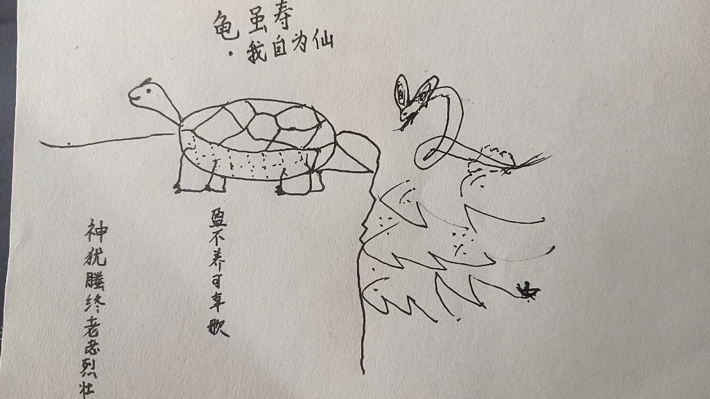 龟虽寿的配图简笔画图片