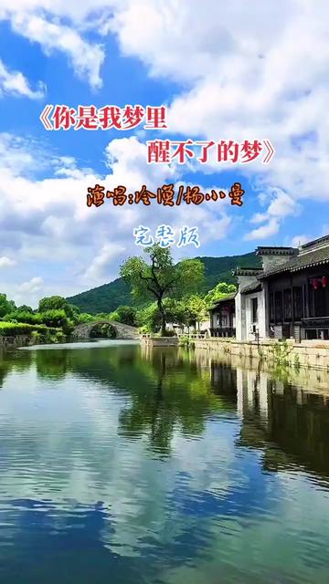 你是我忘不了的痛醒不来的梦