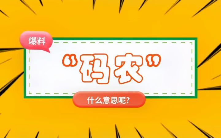 “码农”是什么意思?哔哩哔哩bilibili