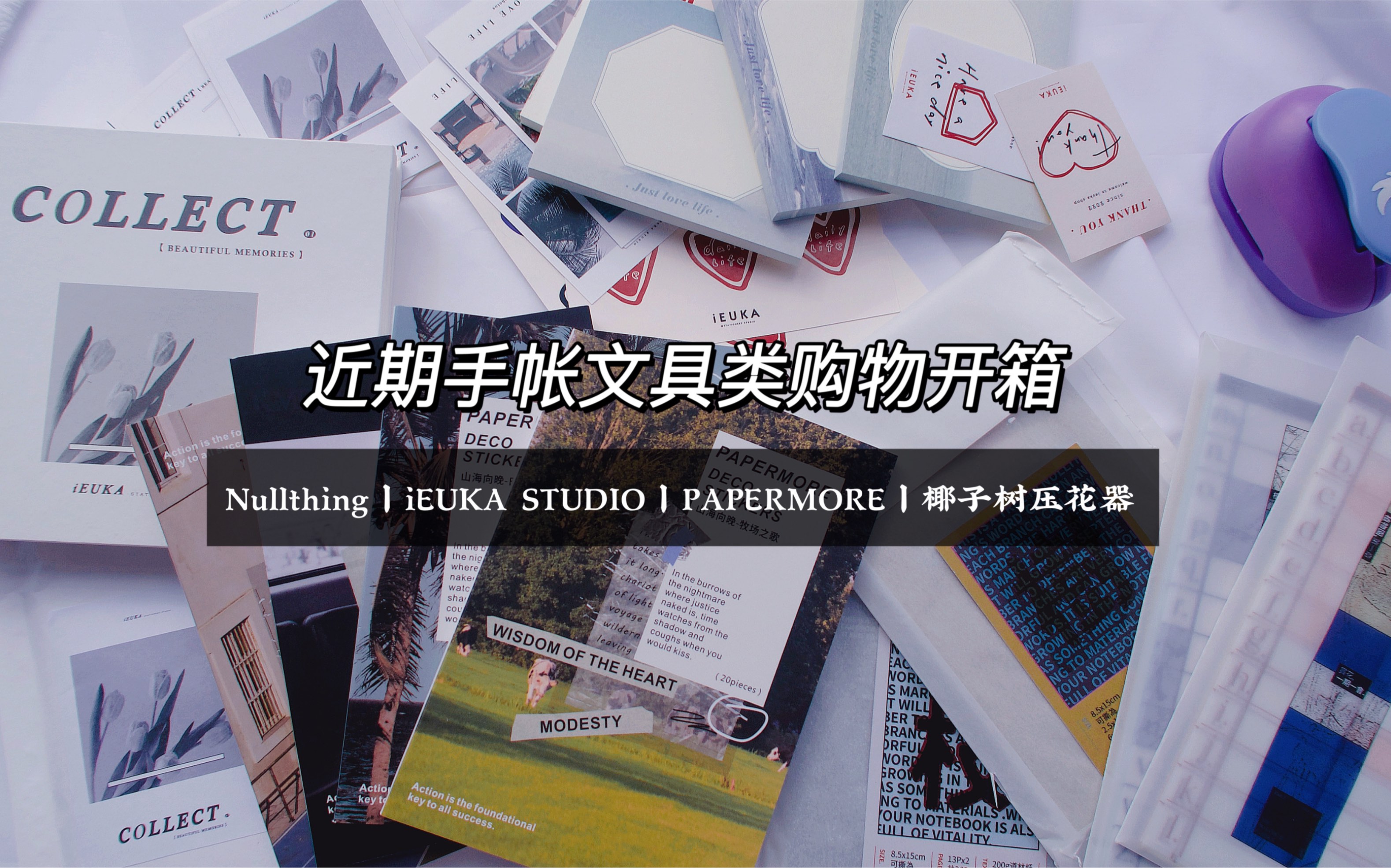 欧阳丨跟我一起拆快递丨近期手帐文具类购物开箱丨Nullthing、iEUKA STUDIO、PAPERMORE、椰子树压花器哔哩哔哩bilibili