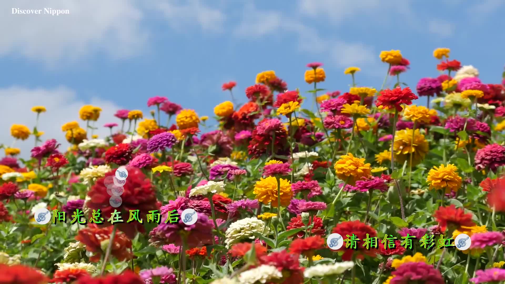 [图]《阳光总在风雨后》音乐与美景简直绝配