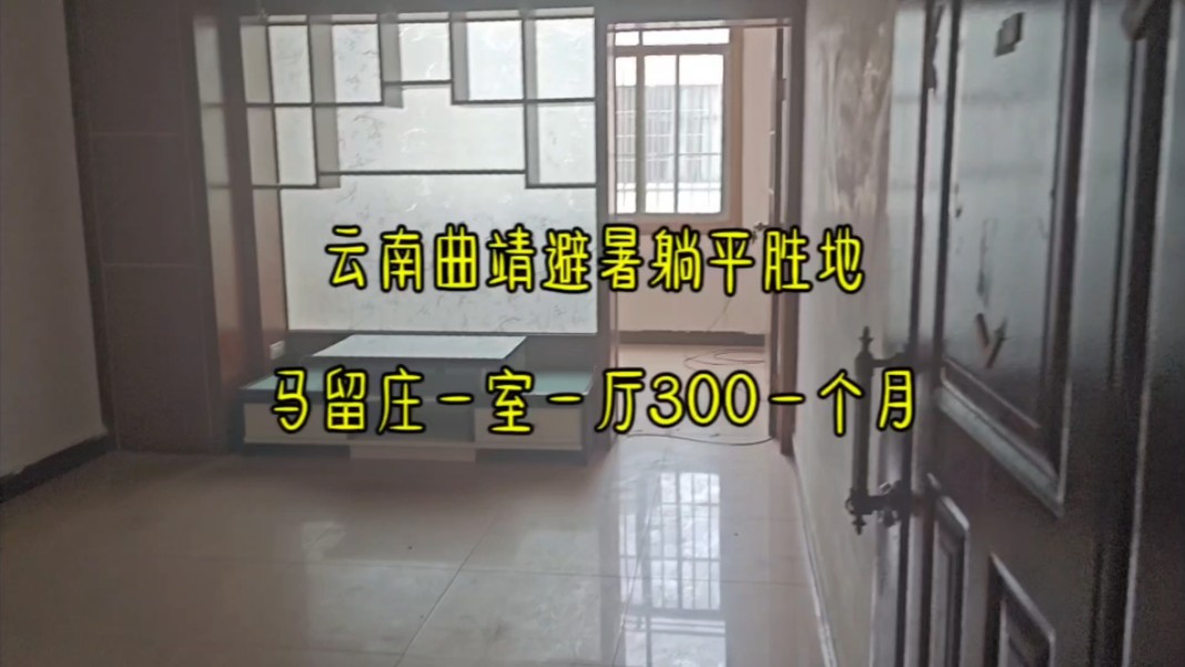 云南曲靖避暑躺平胜地马留庄100平一室一厅半年起租300一个月哔哩哔哩bilibili