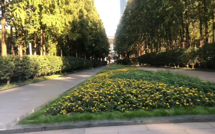 延安中路绿地走走看看