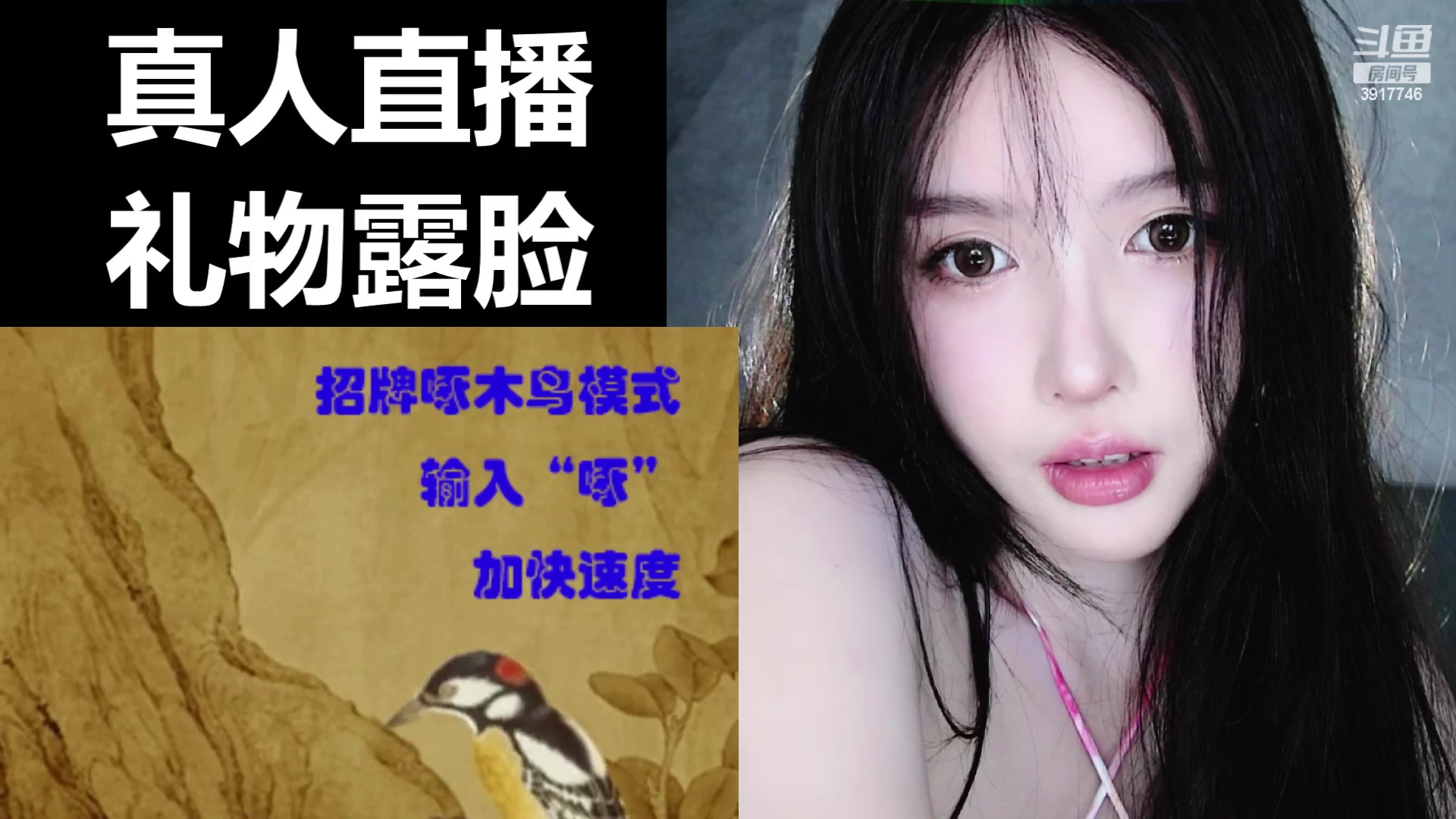 【嘉瑞baby】2023-06-13啄木鸟回来了