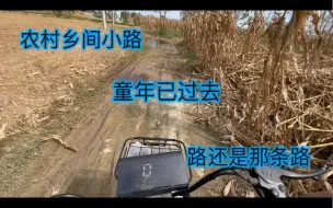 Descargar video: 今天去舅舅家拿鸡，顺便给你们拍一下，农村乡间小路。你们有什么感受？