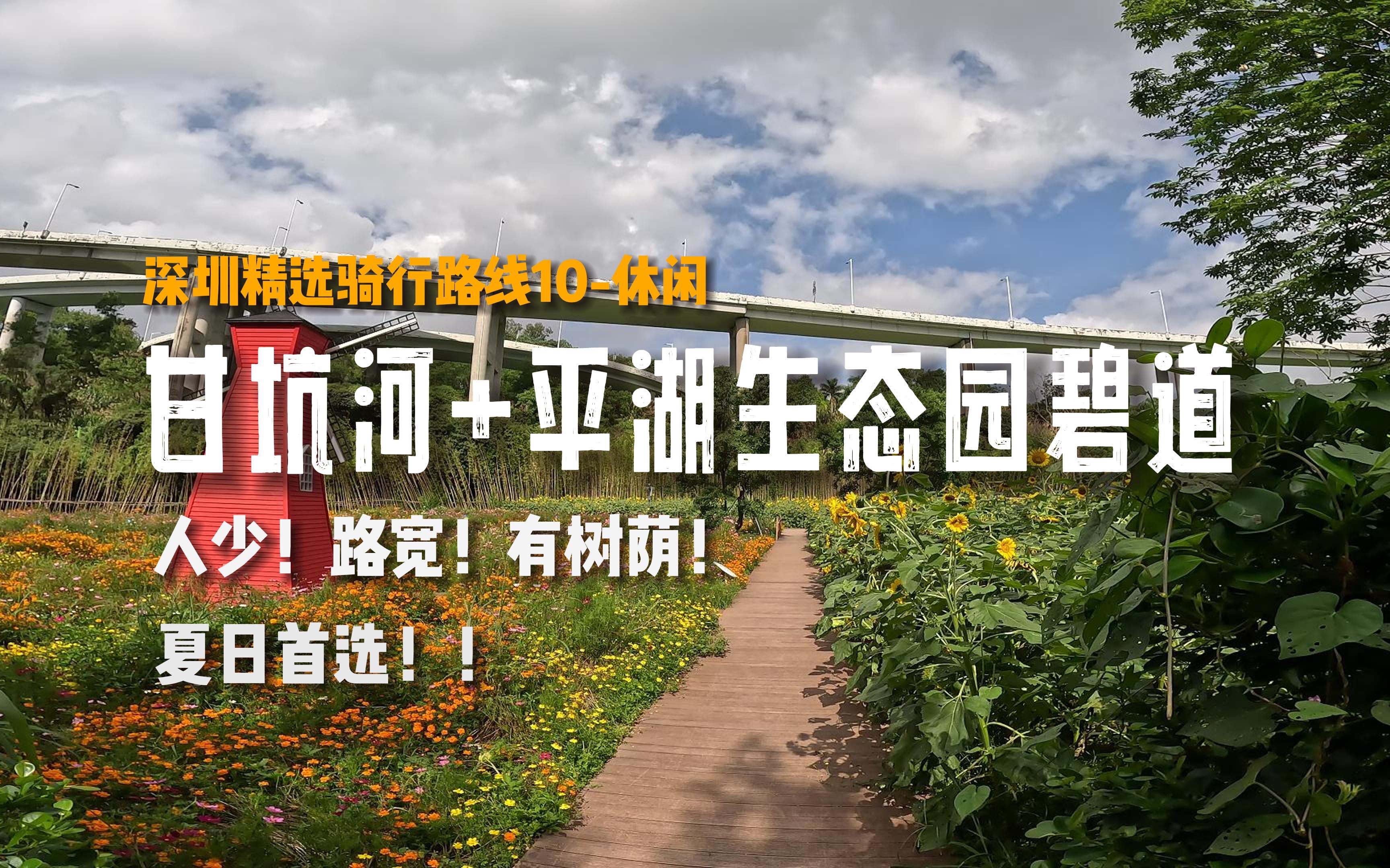 【深圳骑行路线10休闲】UP主私藏的小众骑行路线|甘坑河碧道|平湖生态园碧道|路线详解|深圳骑行|4K|GOPRO哔哩哔哩bilibili