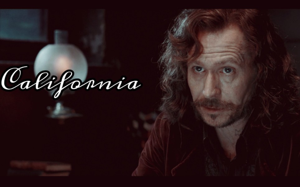 【hp|小天狼星个人向·台词向】含sirius×harry&sirius×james_哔哩