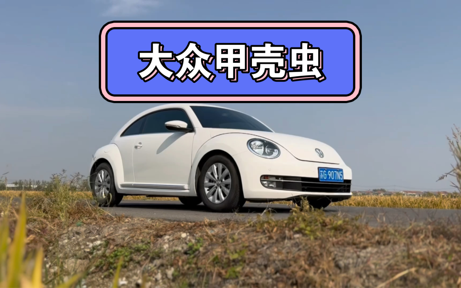 [图]大众甲壳虫，年轻人的第一台车🚗