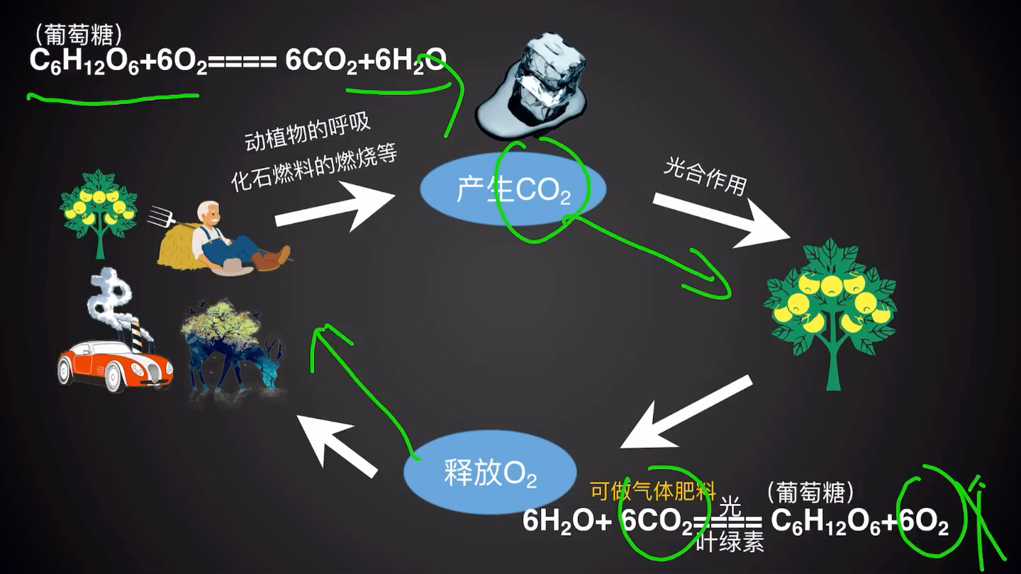 [图]碳的氧化物—第六章