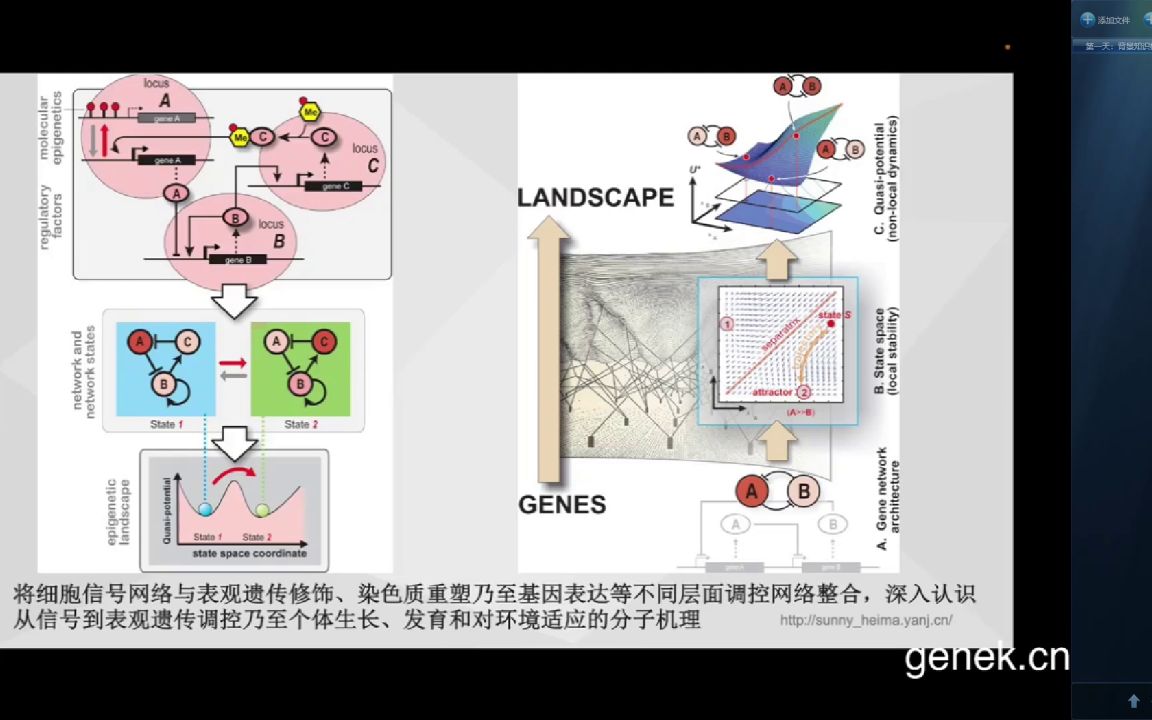 陆麒:科研课题申报和伦理审查指南全概括(第二章已完结)医学会员免费学哔哩哔哩bilibili