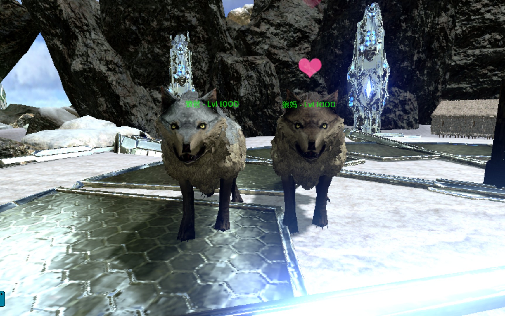 当两只满级狼在一起会生出什么样的二代