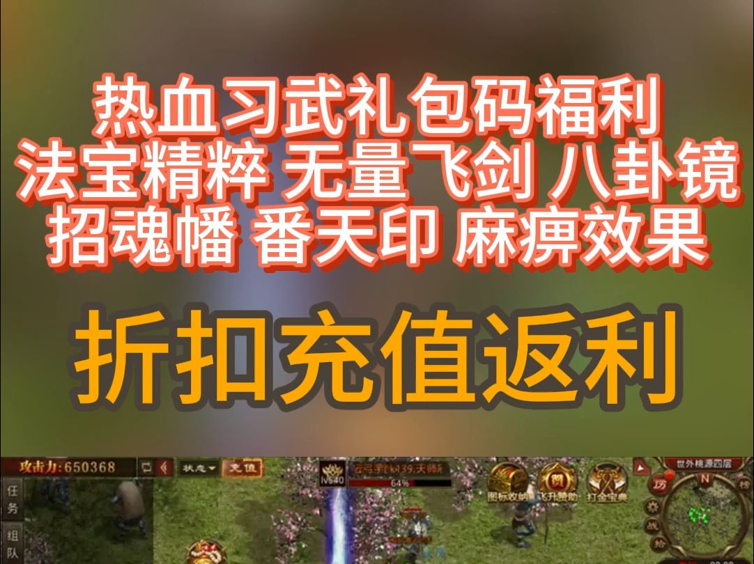 热血习武礼包码福利法宝精粹 无量飞剑 八卦镜招魂幡 番天印 麻痹效果热血习武顶赞云霄传世战神蚩尤四圣封神王者传世充值折扣返利手机游戏热门视频