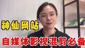 告别伸手党，这4个素材网站免费且强大， 让你找素材不求人_哔哩哔哩(゜ 