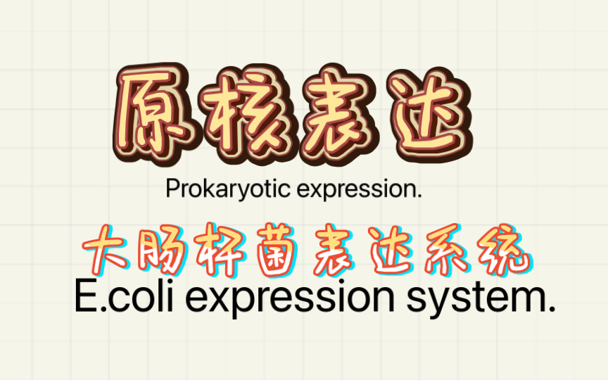 E.coli system|原核表达 大肠杆菌表达系统 蛋白表达 实验流程框架哔哩哔哩bilibili