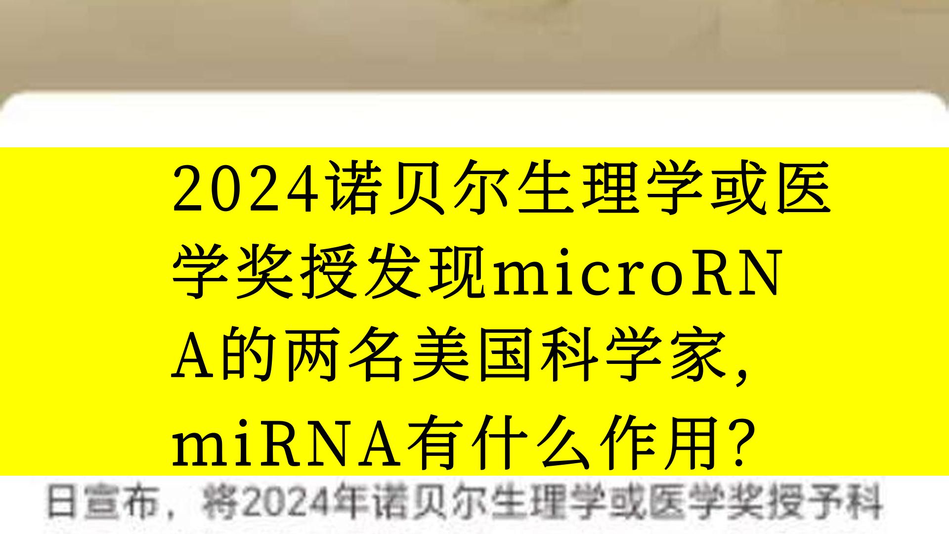 2024诺贝尔生理学或医学奖授发现microRNA的两名美国科学家, miRNA有什么作用?哔哩哔哩bilibili