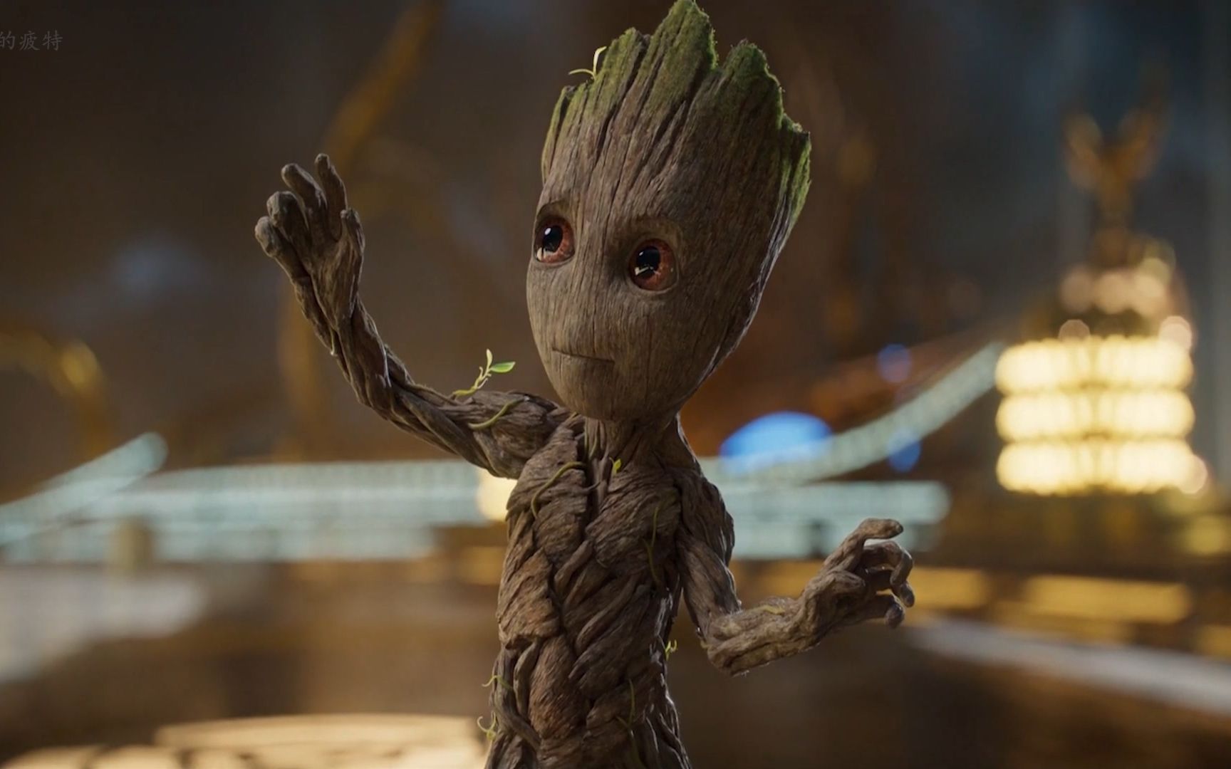 我是格鲁特 我们都是格鲁特