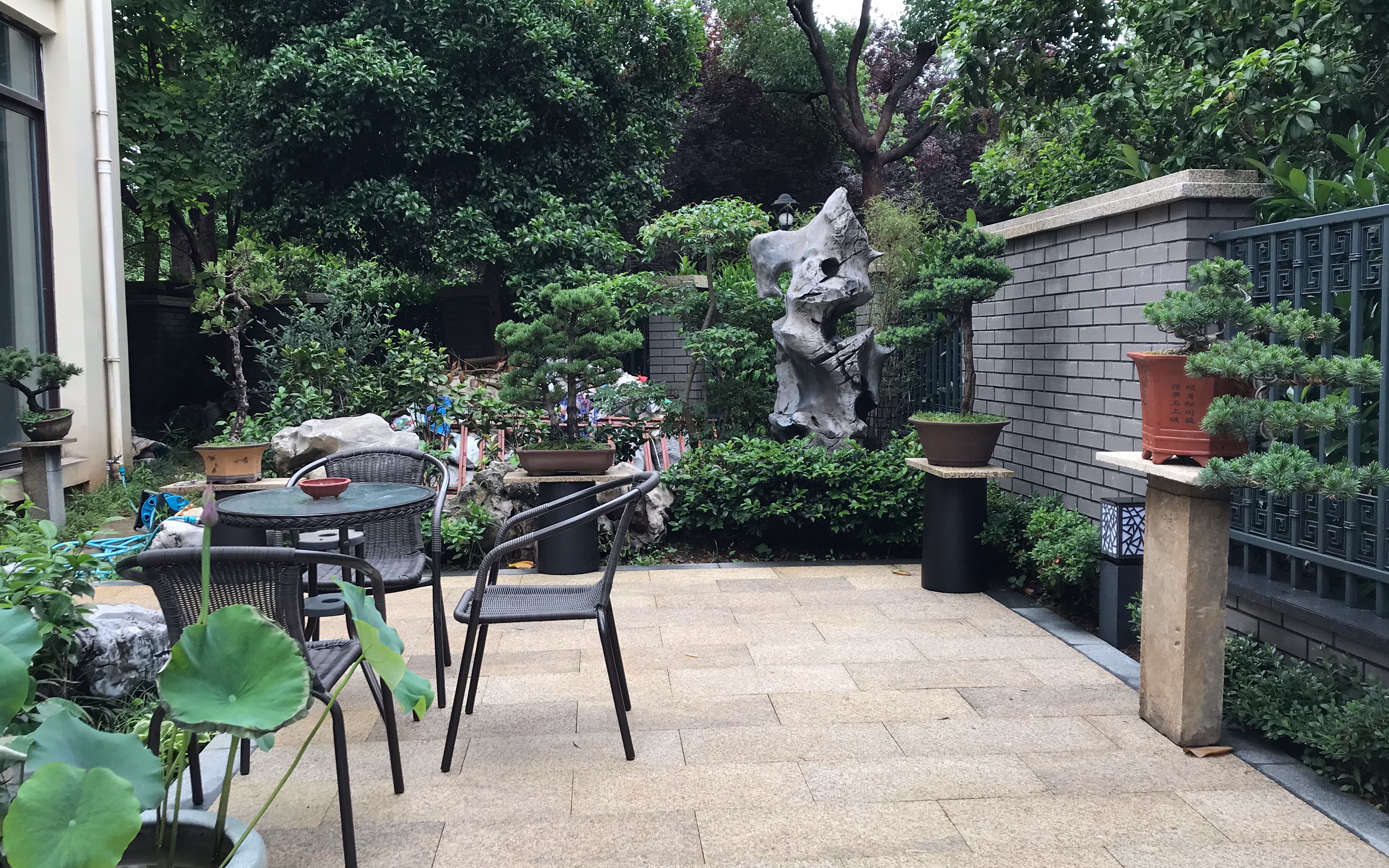 雨后庭院清新幽静