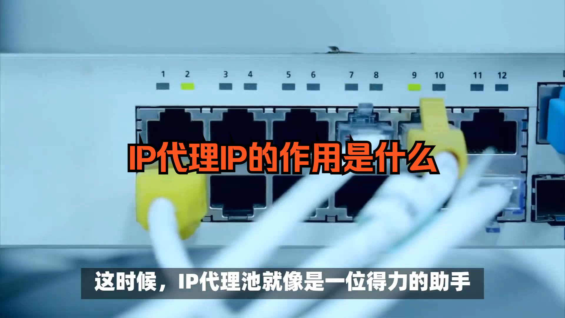 ip代理池是什么,它的作用是什么哔哩哔哩bilibili