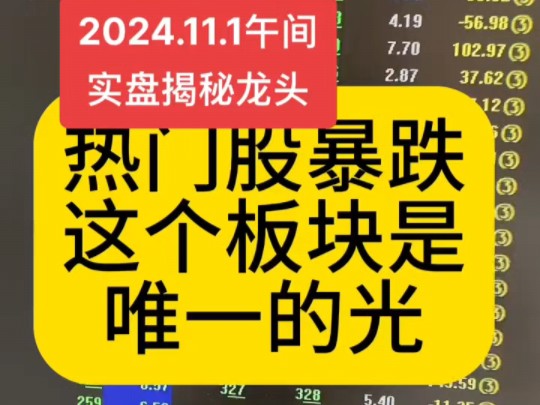 热门股暴跌!这个板块是唯一的光!实盘揭秘龙头!哔哩哔哩bilibili