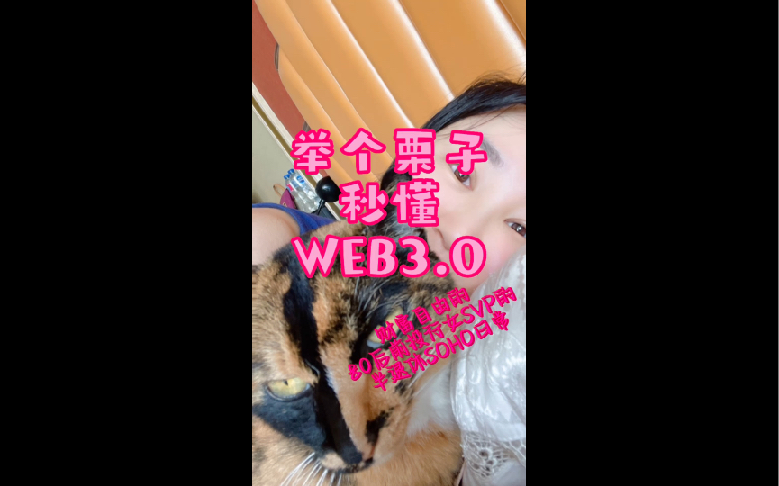 举个例子让你秒懂什么是web3.0哔哩哔哩bilibili