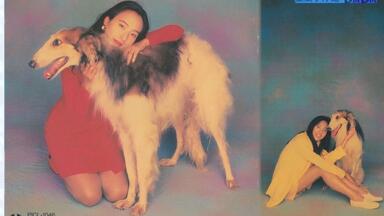 中野麻衣子- Bay Side Story (1991 CD:TOCT-6171)_哔哩哔哩_bilibili