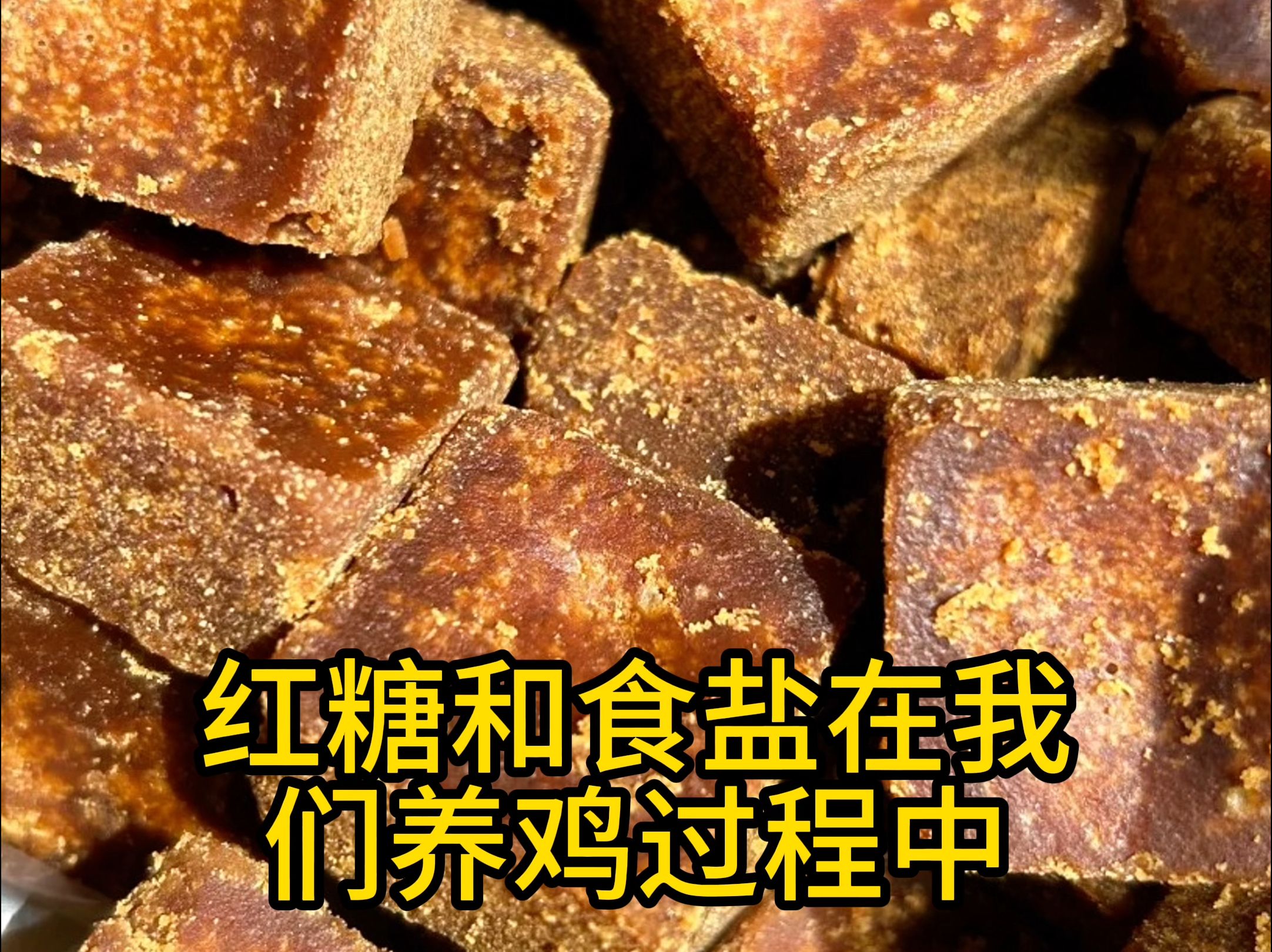 红糖在养鸡中的用法用量哔哩哔哩bilibili