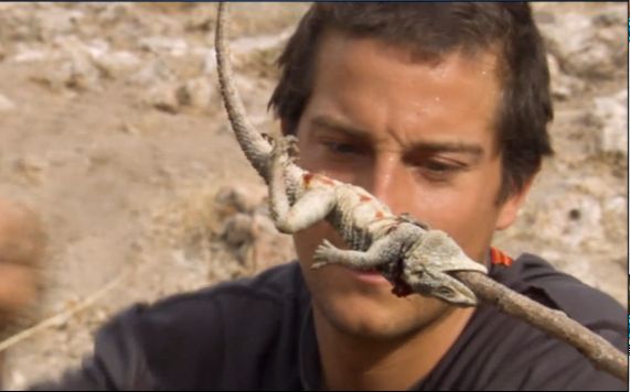 贝爷吃小动物第六期!