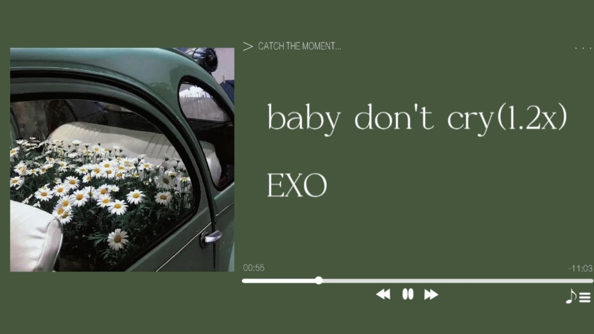 [图]Baby don’t Cry(1.2x)