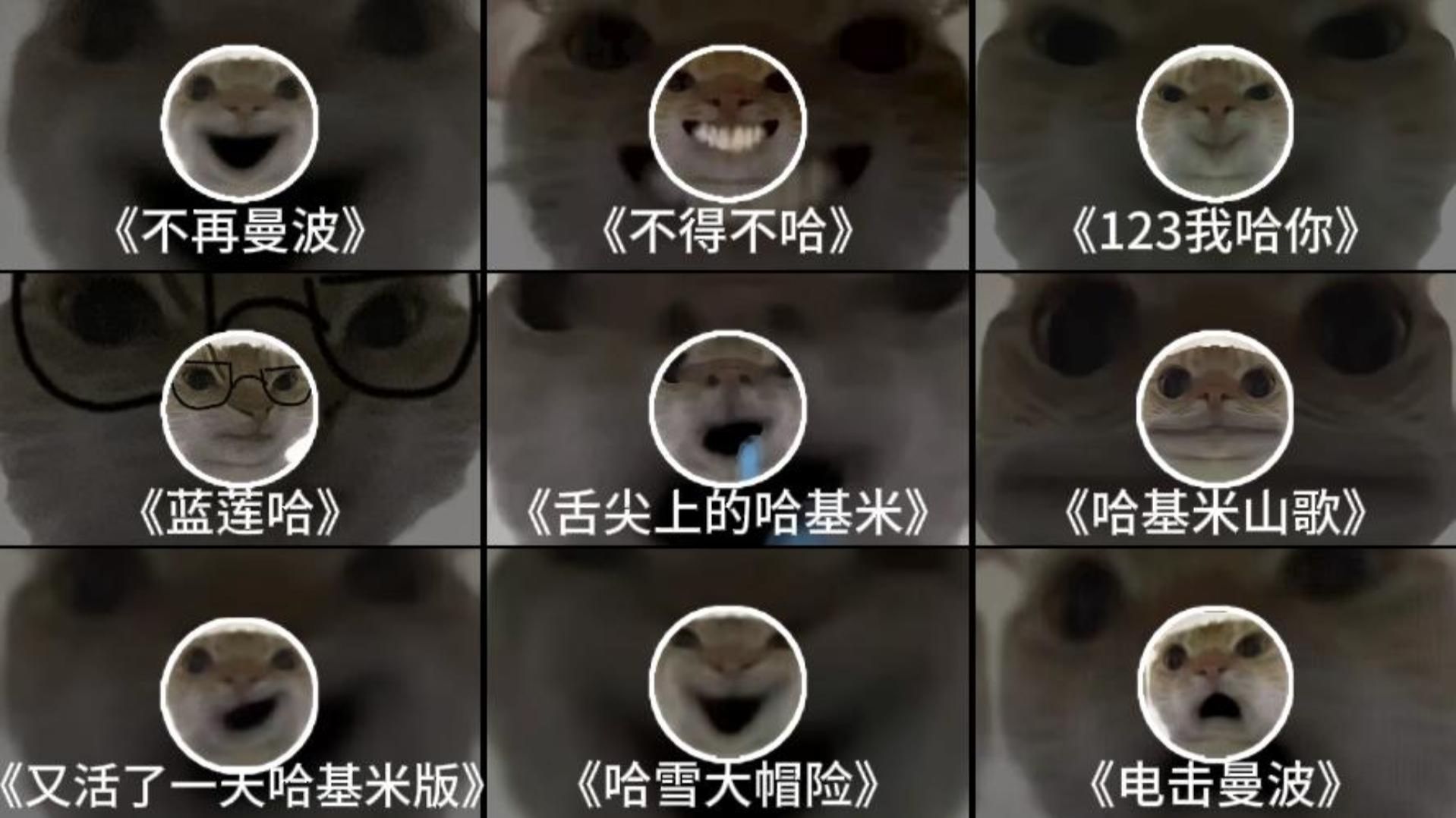 《哈基米の音乐合集》“这才是真正的音乐！”