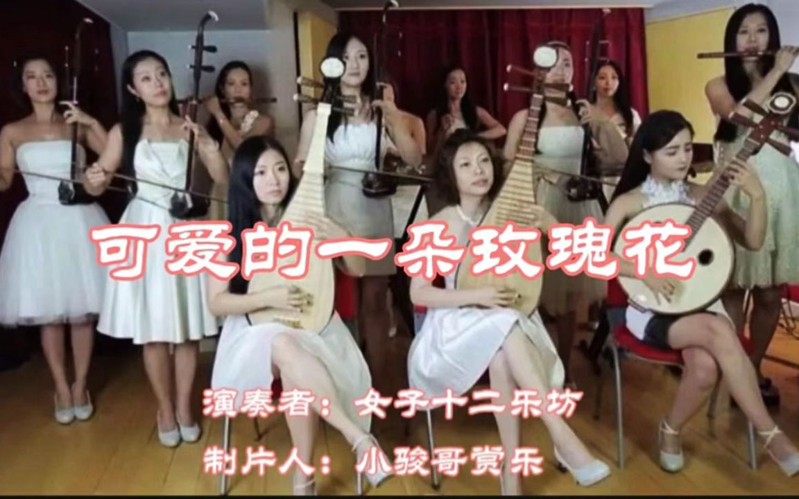 [图]一首新疆歌曲，女子十二乐坊演奏，熟悉的旋律《可爱的一朵玫瑰花》