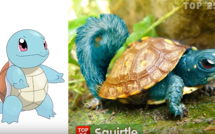 真实世界的宠物小精灵(pokemon)